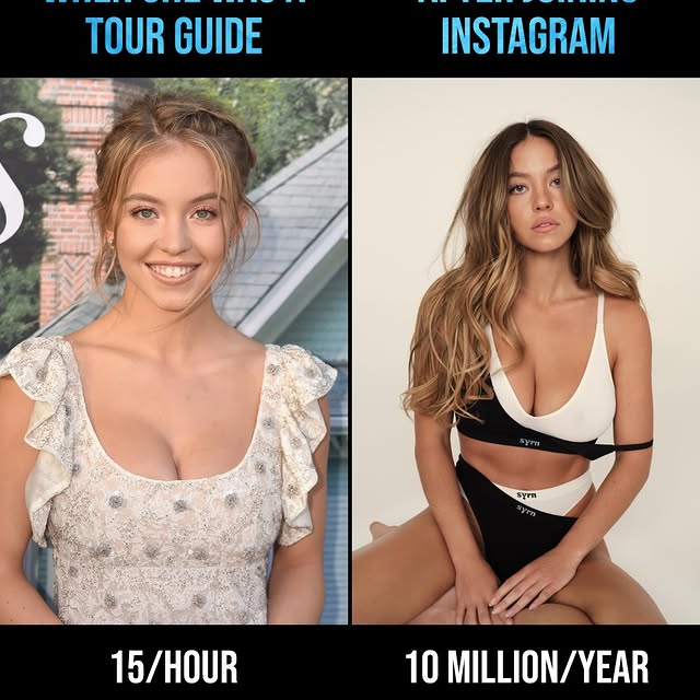  ......focus   'recent posts' 