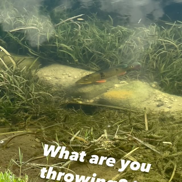  ........sfishing   'recent posts' 