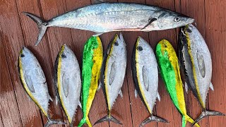  ..........ht Fishing  'recent videos' 