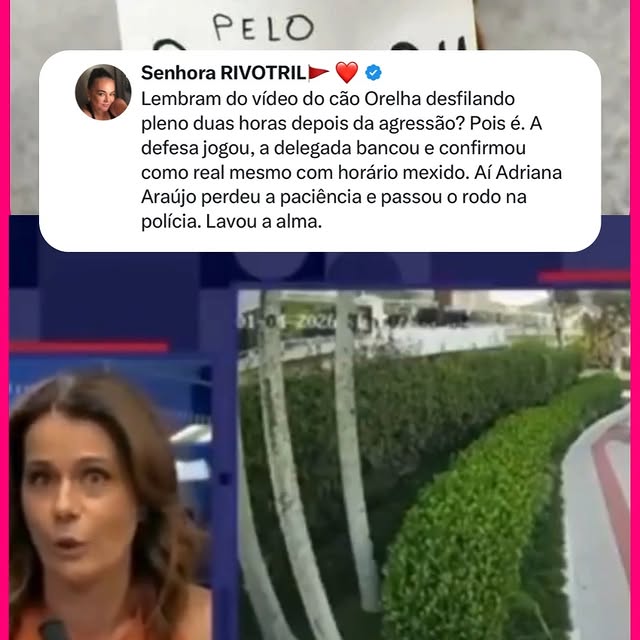  ....quei   'recent posts' 