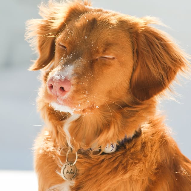  ......atoller   'recent posts' 