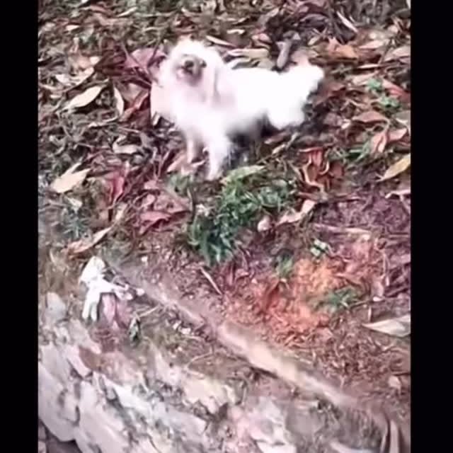  ....ash_   'recent posts' 