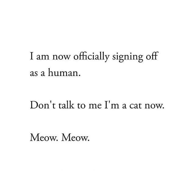  ......nlives   'recent posts' 