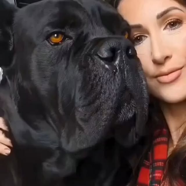  .........pet_world   'recent posts' 