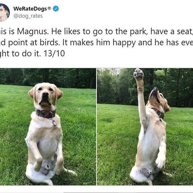  .......ndrulzz   'recent posts' 