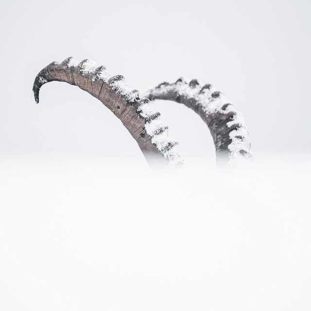  .......avelbook   'recent posts' 