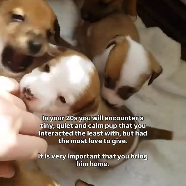  ..ps   'recent posts' 