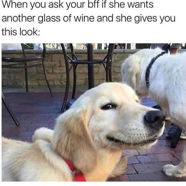  .....pawsz   'recent posts' 