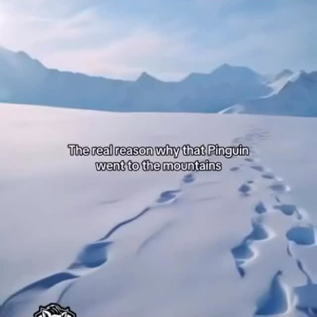  ........imension   'recent posts' 