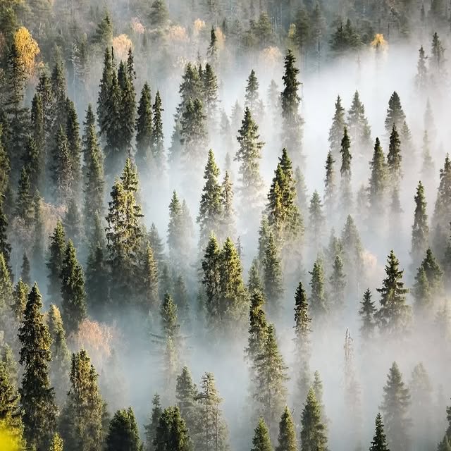  ......entpix   'recent posts' 