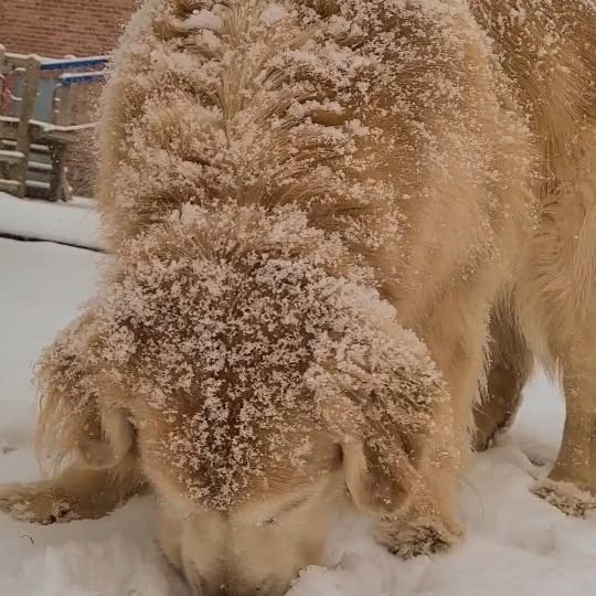  ..ps   'recent posts' 