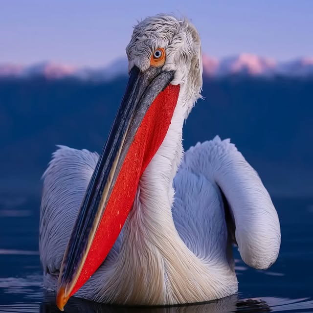  ........vacations   'recent posts' 