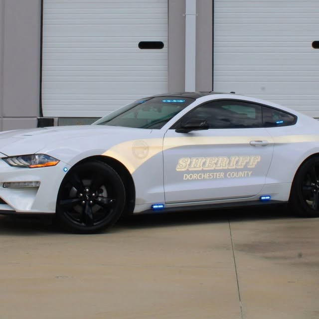  .......fanclub   'recent posts' 