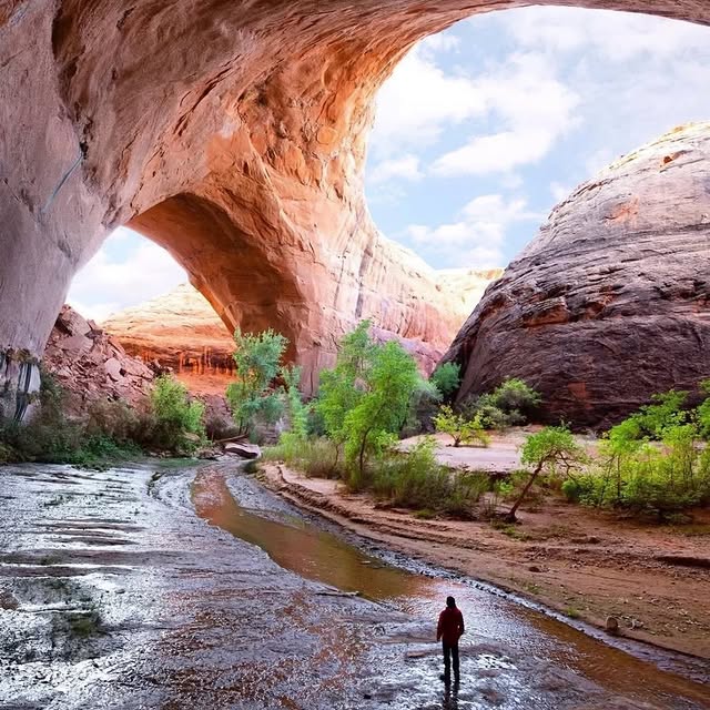  ........e.america   'recent posts' 