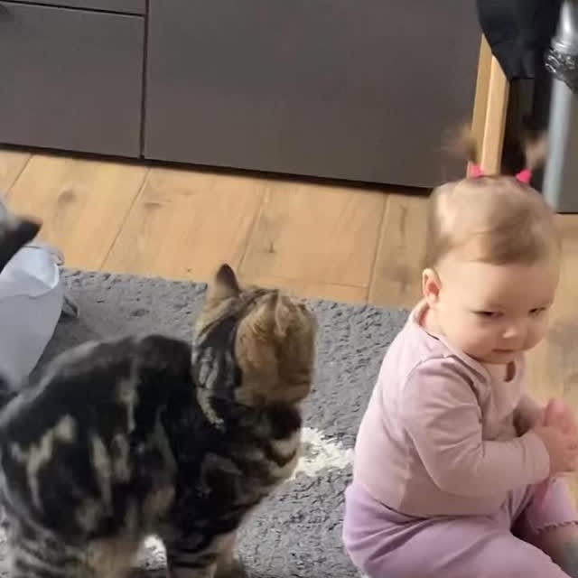  ........sweetmeow   'recent posts' 