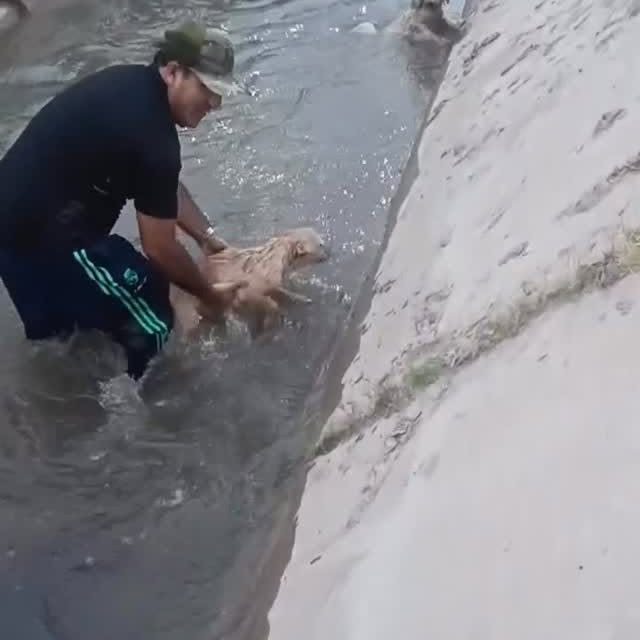  ......estige   'recent posts' 