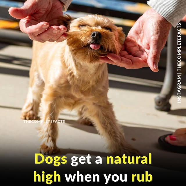  ........etefacts   'recent posts' 