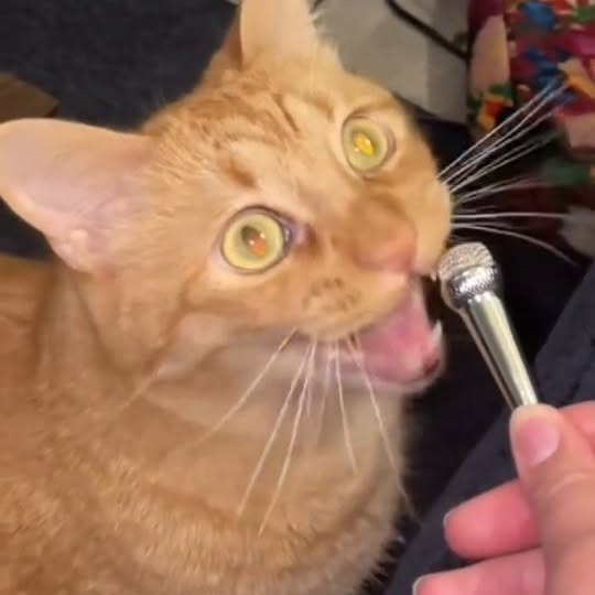  ...........irmouthopen   'recent posts' 