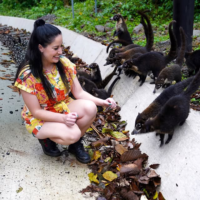  ....olson   'recent posts' 