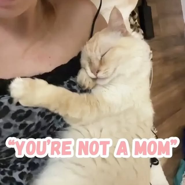  .....li9ht   'recent posts' 