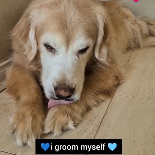  ..ps   'recent posts' 