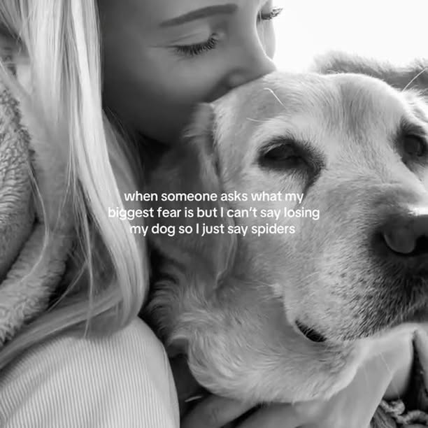  .....sland   'recent posts' 