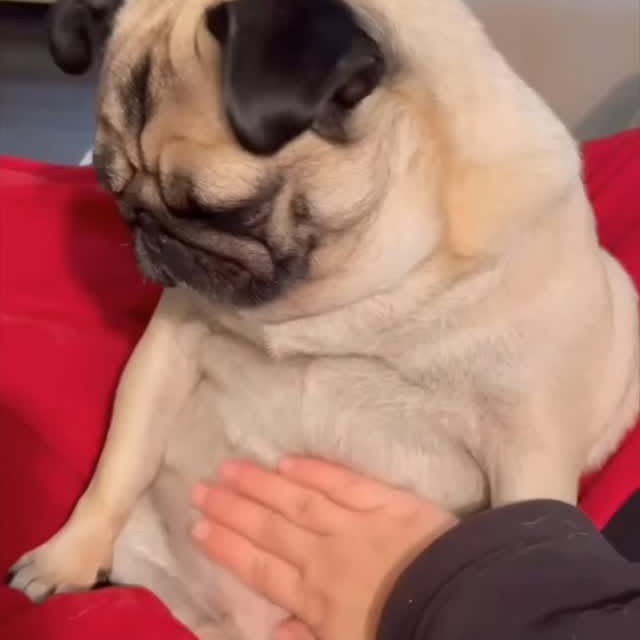  .....wners   'recent posts' 