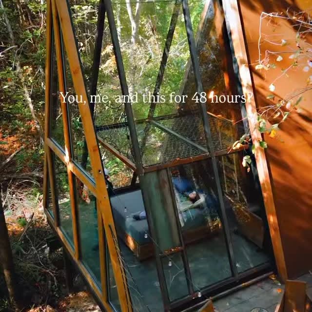  .......sespics   'recent posts' 