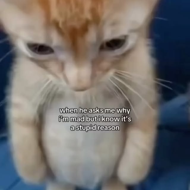  .....li9ht   'recent posts' 