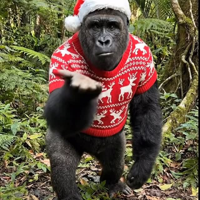  .....a_real   'recent posts' 