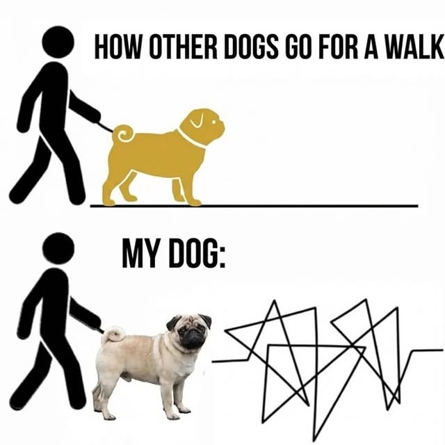  .....of.pug   'recent posts' 