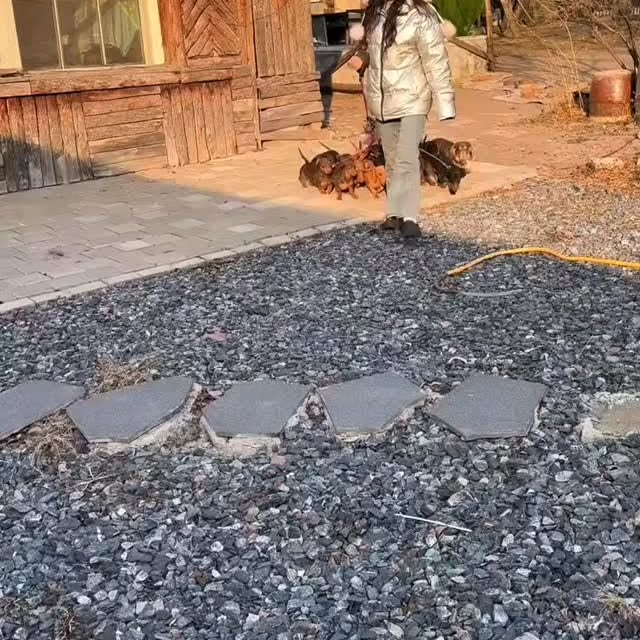  ..........fan.club_   'recent posts' 