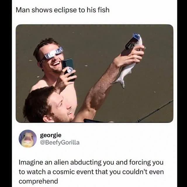  ......plains   'recent posts' 