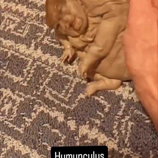  .......vnation   'recent posts' 