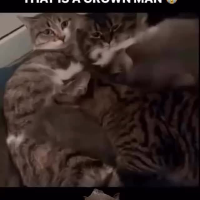  ....eowsy   'recent posts' 