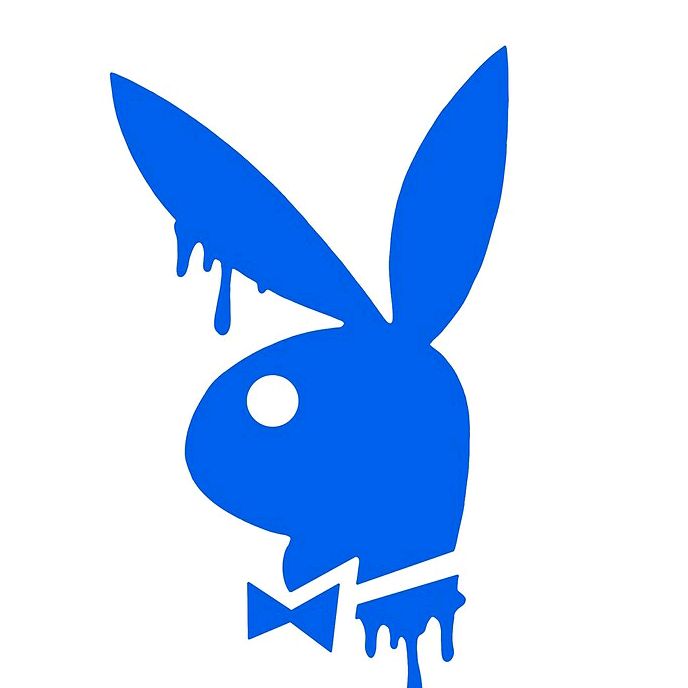 Hire .....abbitt influencer with 28.5k