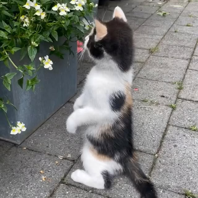  .......sinhome   'recent posts' 