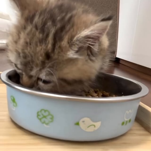  ...sjpg   'recent posts' 