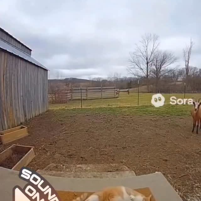  .......eartbeat   'recent posts' 