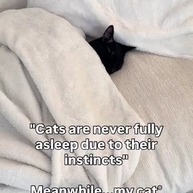  .......ats_club   'recent posts' 