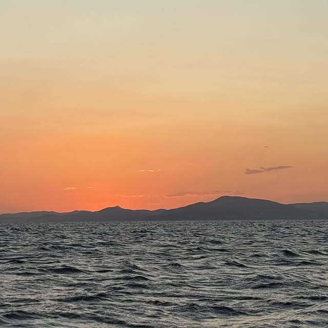  .....wilks   'recent posts' 