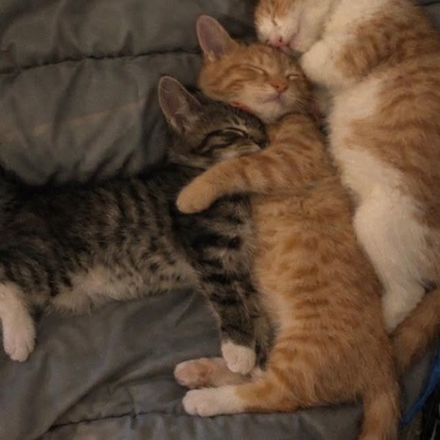  .....attos   'recent posts' 