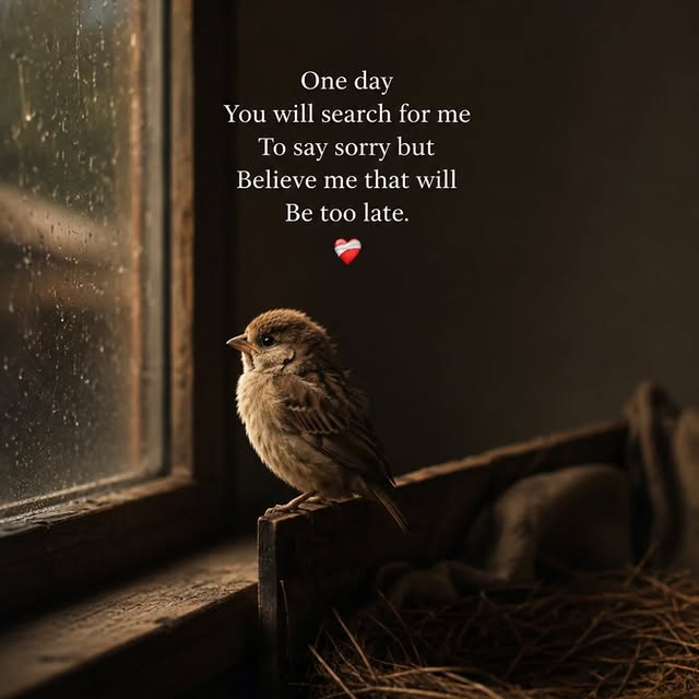  ............quotes_trends   'recent posts' 