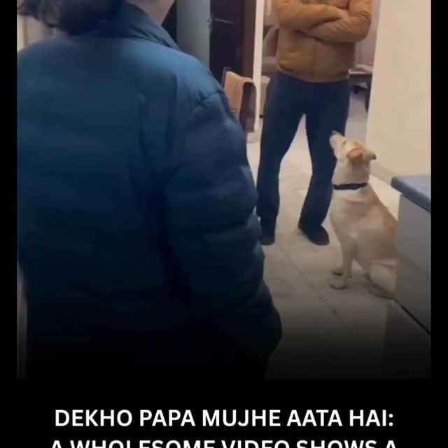  .......rcolours   'recent posts' 