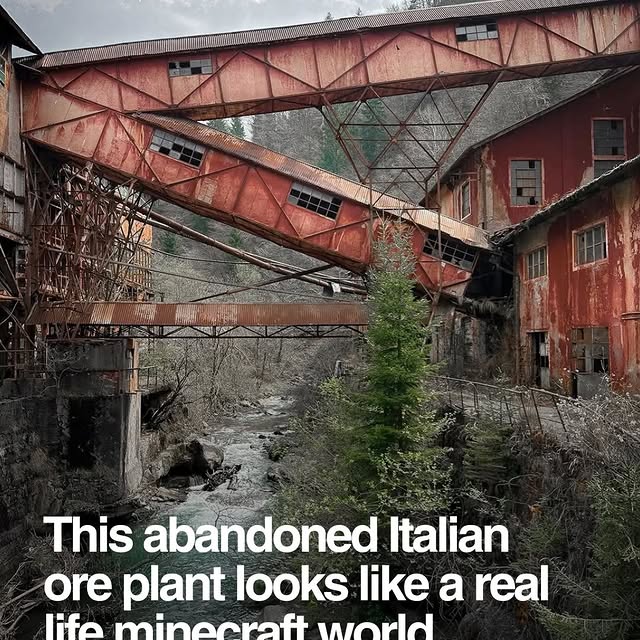  ....dose   'recent posts' 