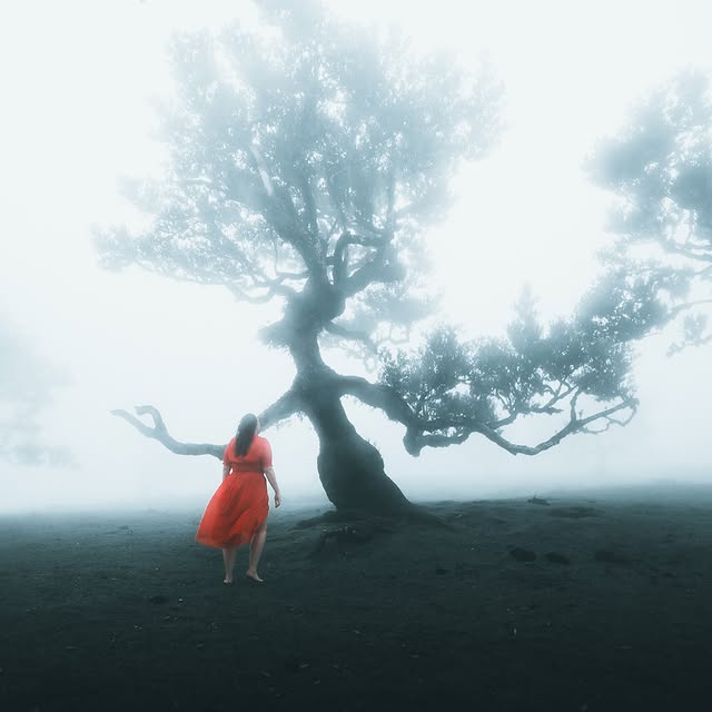  ......otsbymb   'recent posts' 