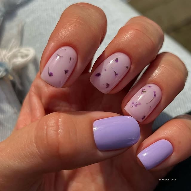  ......nails   'recent posts' 