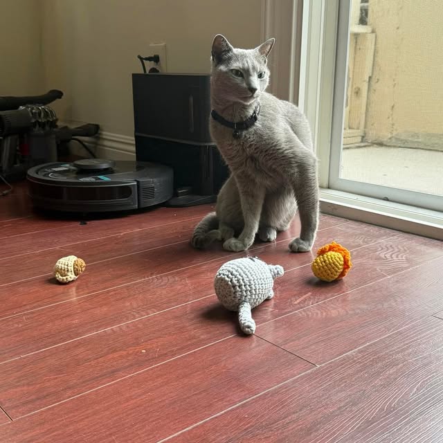  ......n_boris   'recent posts' 