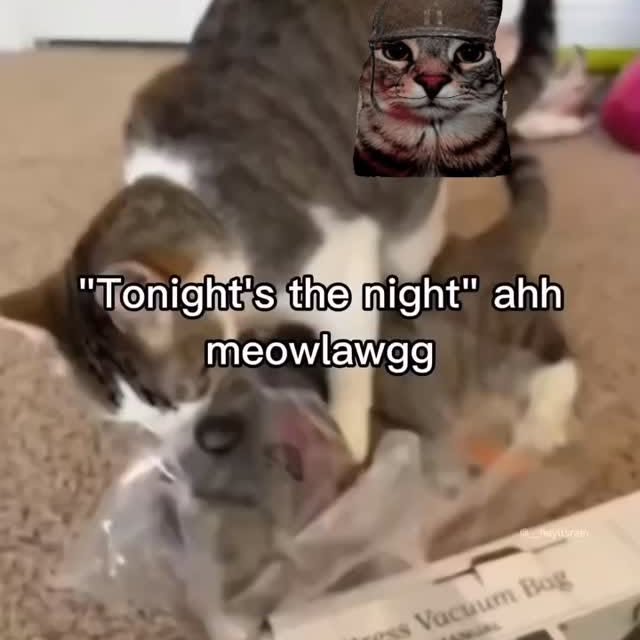  ....eowsy   'recent posts' 