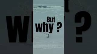  ..eko  'recent videos' 